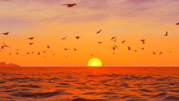 海面上成群结队自由飞翔的海鸥