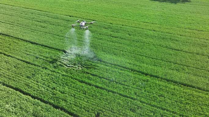 无人机小麦一喷三防农业管理