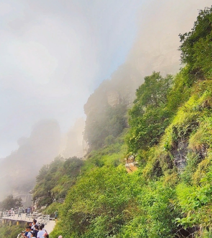 竖屏视频/被云雾笼罩的高山/白石山