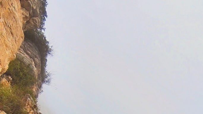 竖屏视频/被云雾笼罩的高山/白石山