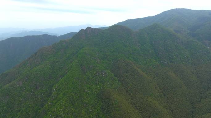 鸬鸟山