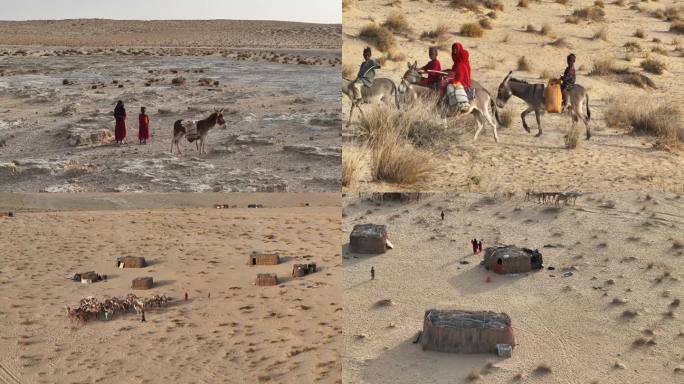 非洲撒哈拉沙漠 沙漠骆驼 沙漠村庄小孩