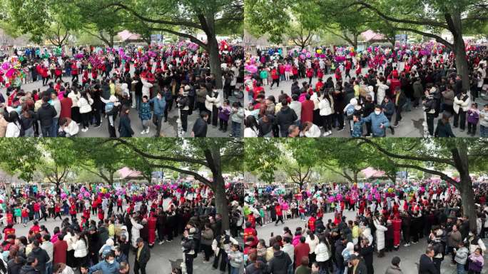 浦江春节民俗魏村花灯