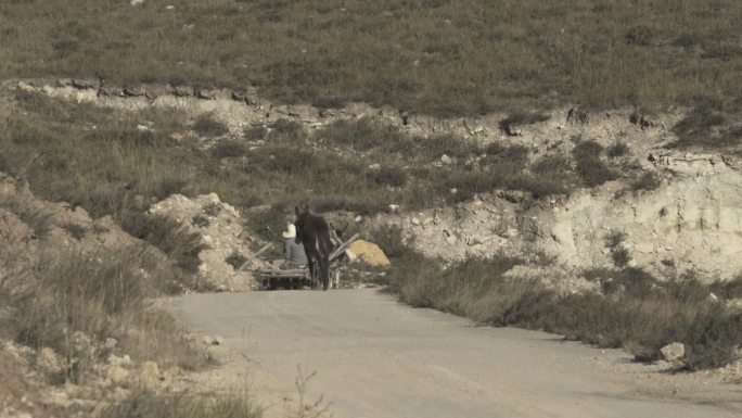 远景老汉赶驴车 老人赶车 山西乡村生活