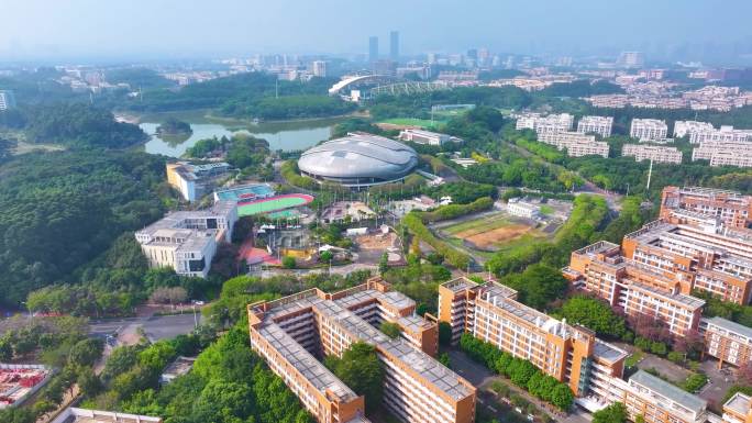 广州大学城航拍校园广州番禺区广东城市风景