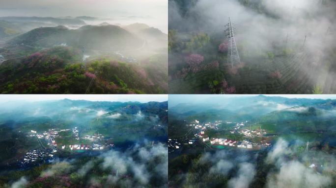 春天花海云雾花海山村满山樱花云海