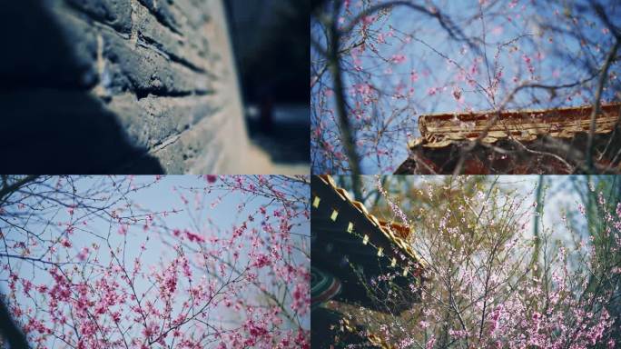 满园春色春暖花开-沧桑中国古建筑光影春天