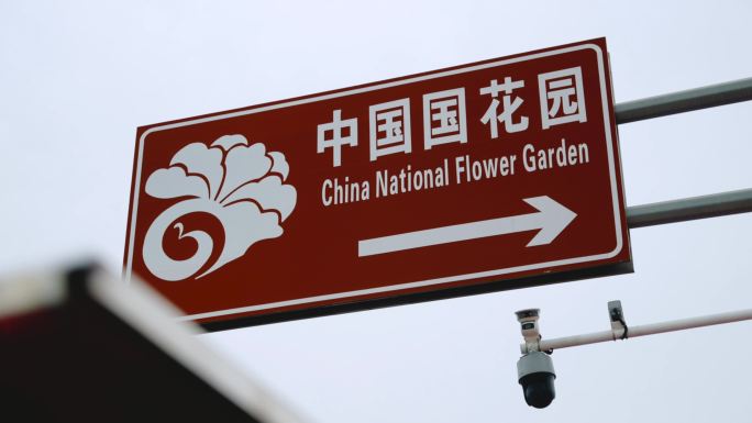 中国国花园 洛阳牡丹园
