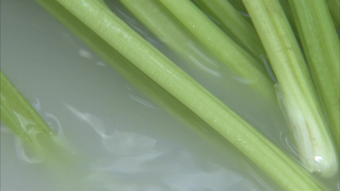 蔬菜 芹菜茎秆 淘米水 清洗芹菜茎秆