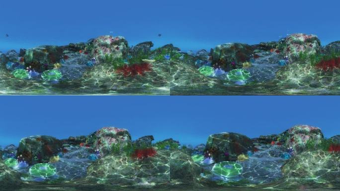 VR_4K海底世界360度全景