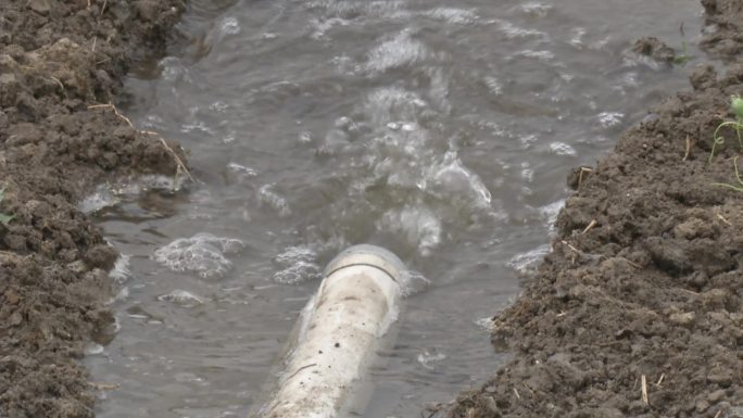 大棚西瓜 苗期 浇水 水管灌水 大水漫灌