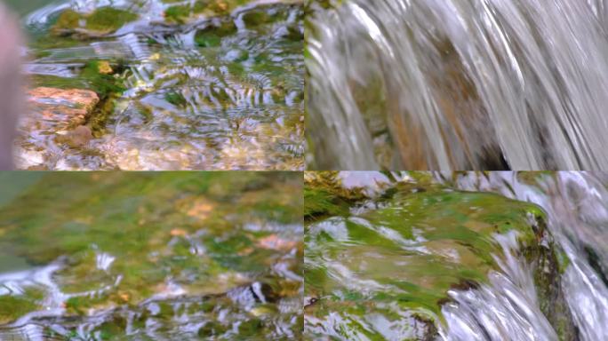 杭州植物园小溪流水特写风景视频素材4