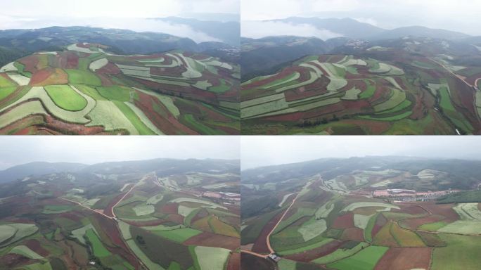 4月云南东川红土地梯田航拍农田大地调色盘