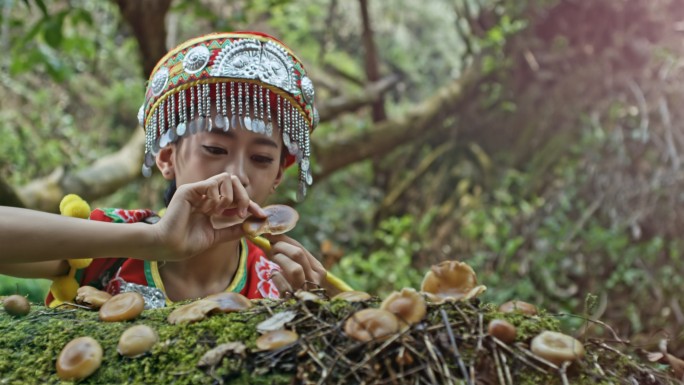 云南苗族采蘑菇山货少数民族
