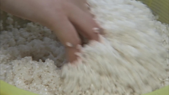稻米 淘洗 淘米 清洗干净的大米 淘米水