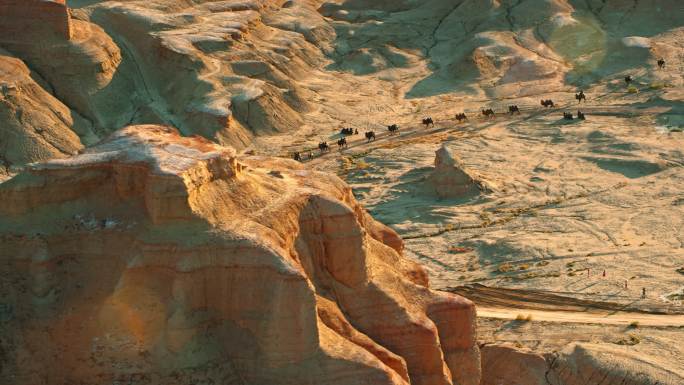 直升机航拍新疆克拉玛依亚丹地貌骆驼