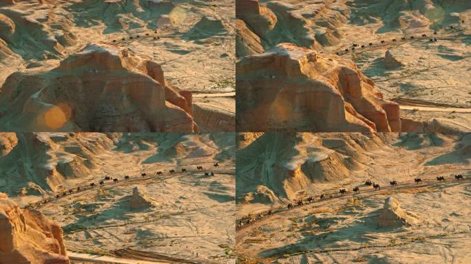 直升机航拍新疆克拉玛依亚丹地貌骆驼