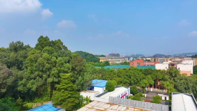 广州大学城航拍校园广州番禺区广东城市风景