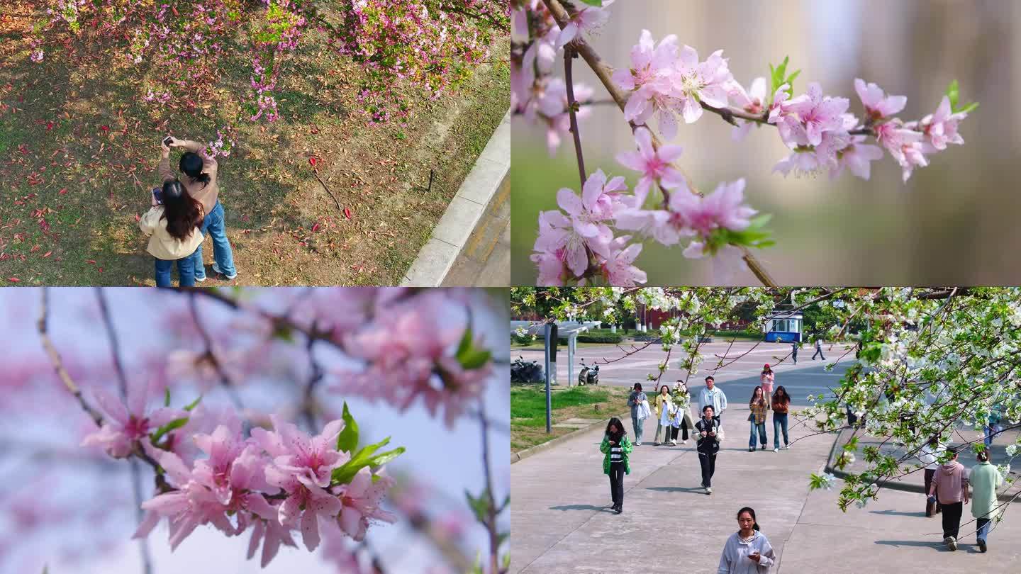 大学高校校园一角