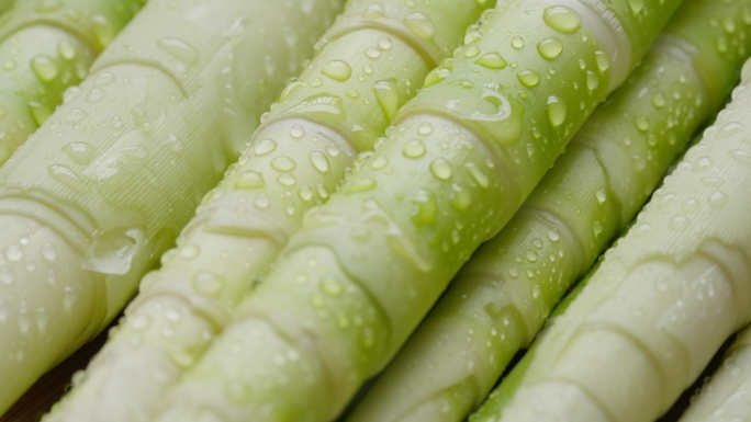 竹笋 采笋 春笋 野生新鲜水竹笋实拍合集