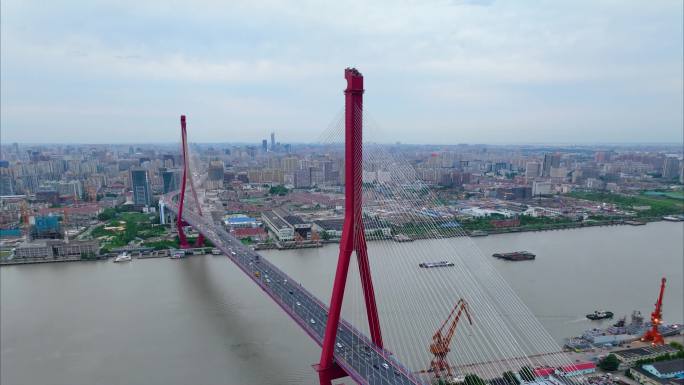 上海市浦东新区杨浦大桥城市车流船只船舶夜