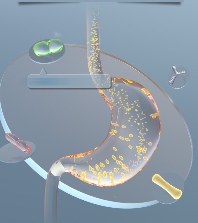 AE+3D 胃动力蠕动 益生菌 胃肠健康