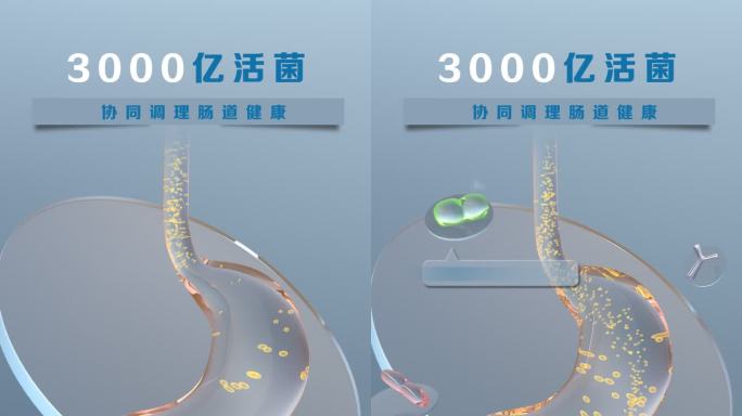 AE+3D 胃动力蠕动 益生菌 胃肠健康