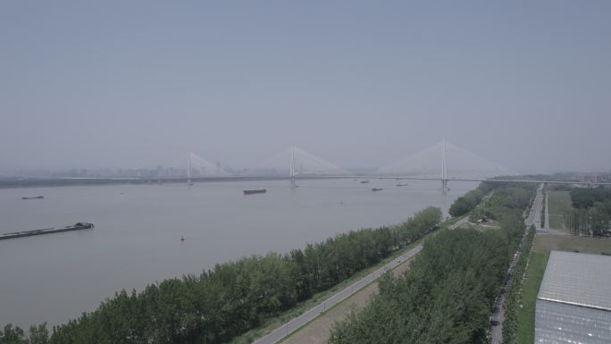 南京江心洲大桥D-log