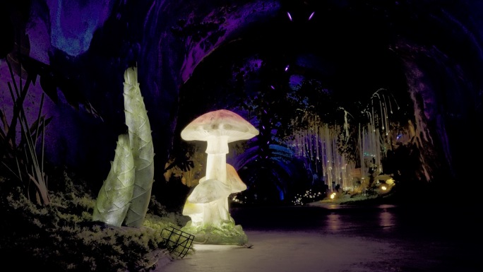 魔法山洞 神秘洞穴 唯美仙境梦幻 实拍