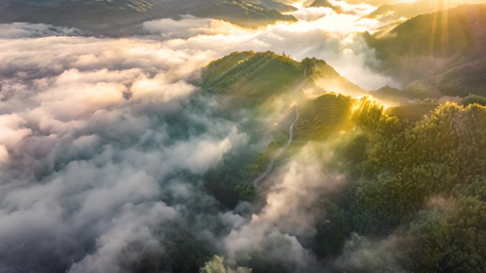 福鼎白茶山 朝霞云海茶园 延时 高山云雾