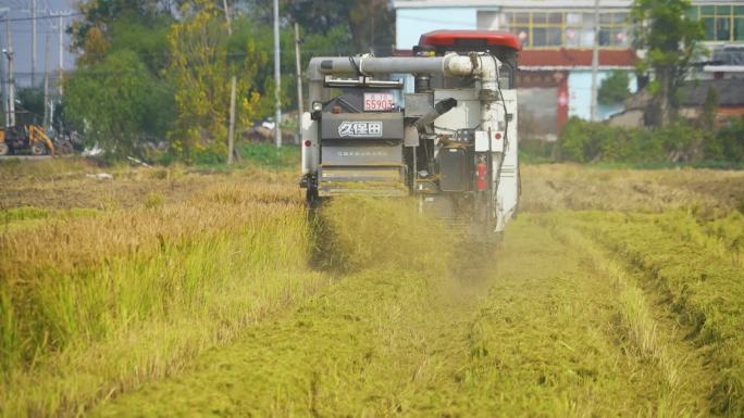 农忙收割机水稻