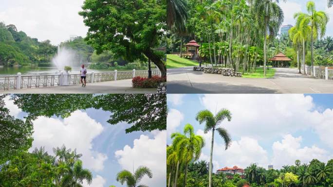 热带植物园空镜素材 4K