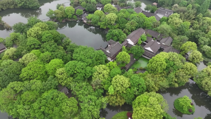 杭州 西溪湿地 高庄 园林 绿植