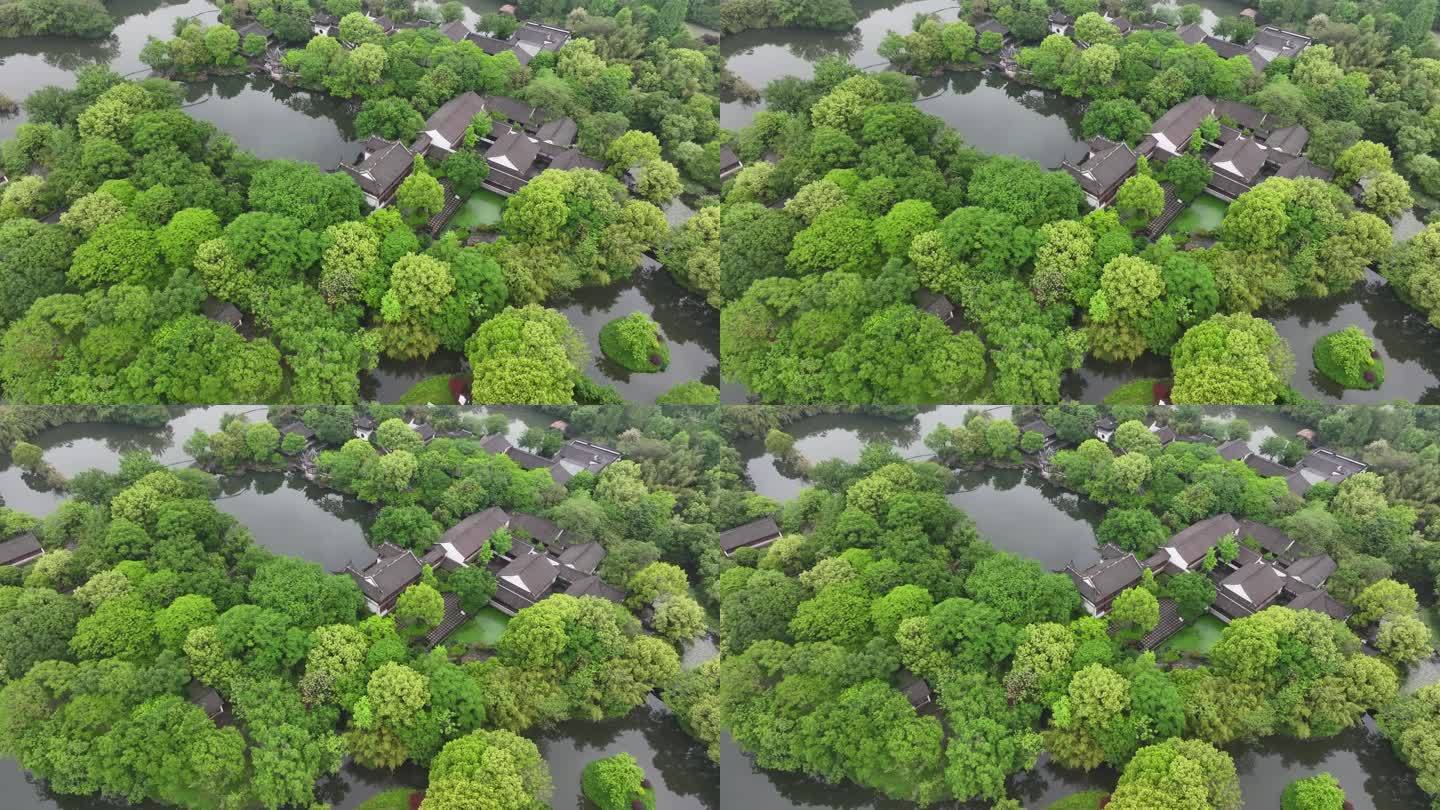 杭州 西溪湿地 高庄 园林 绿植