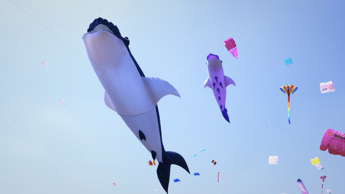 2024潍坊国际风筝节历届风筝合集