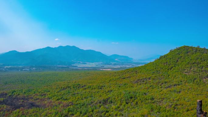 4K腾冲火山森林树林延时