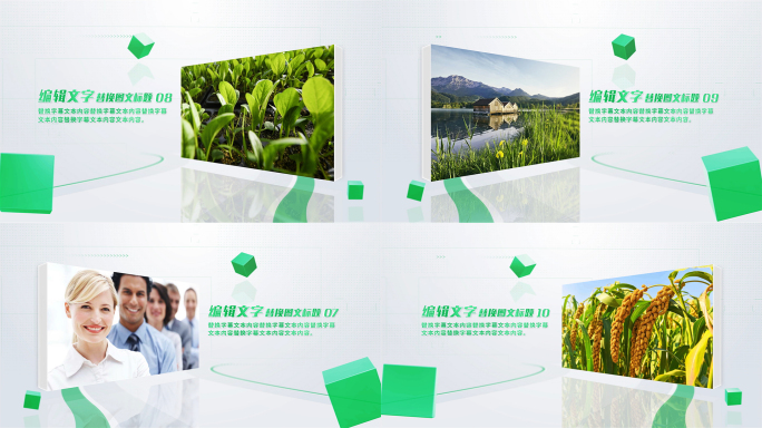 清新绿色立体图文介绍农业生态一张照片展示