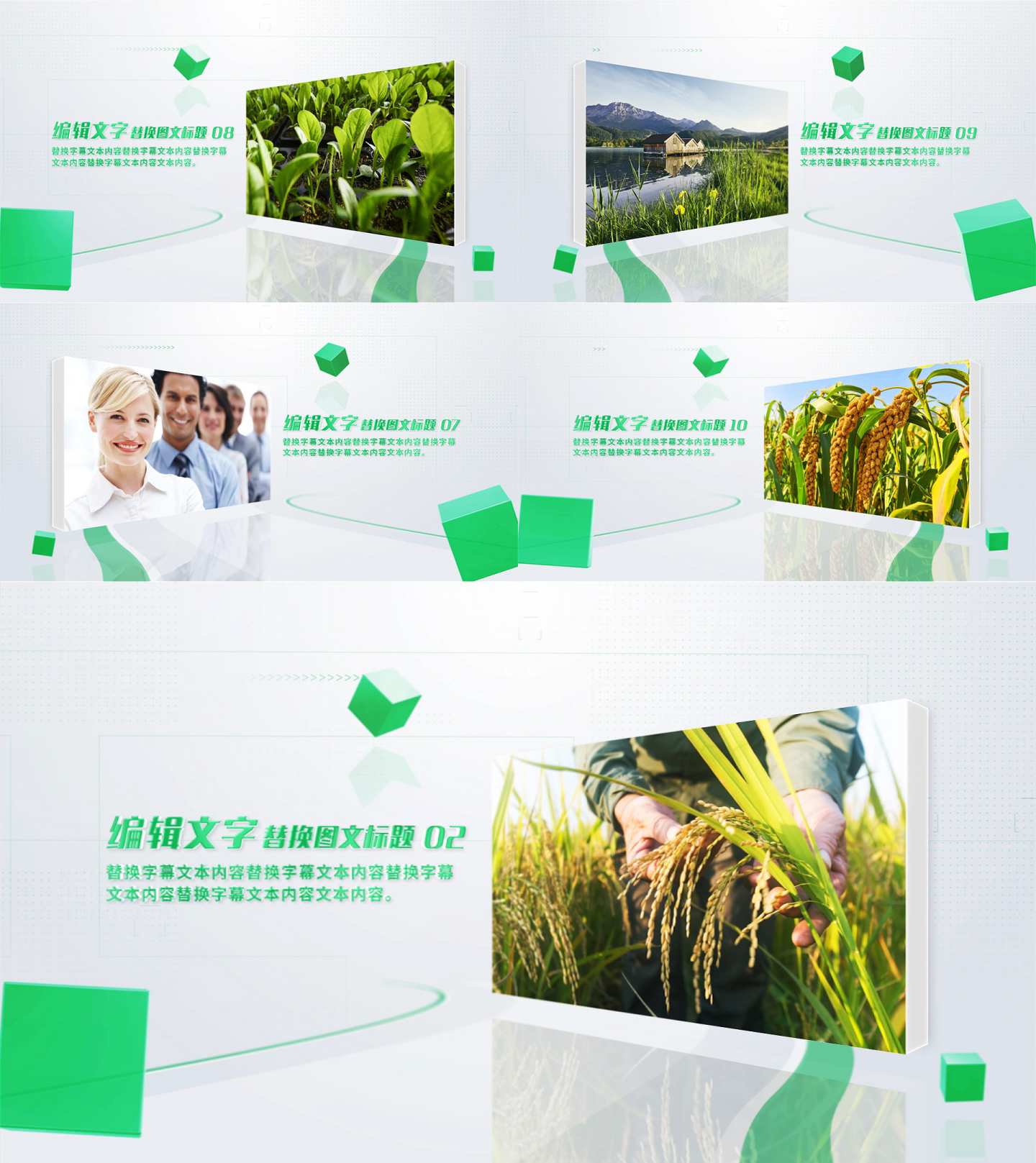清新绿色立体图文介绍农业生态一张照片展示