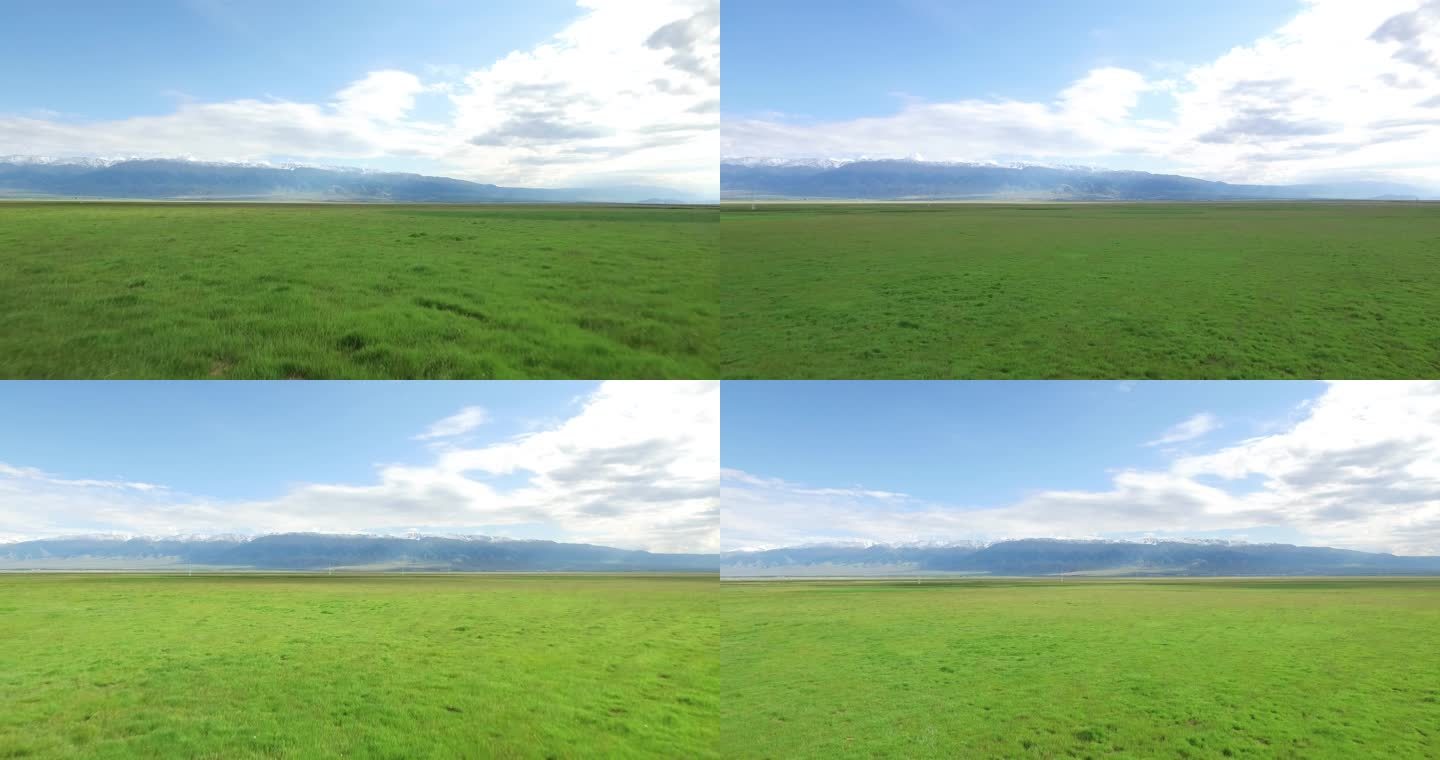 新疆草原远处雪山