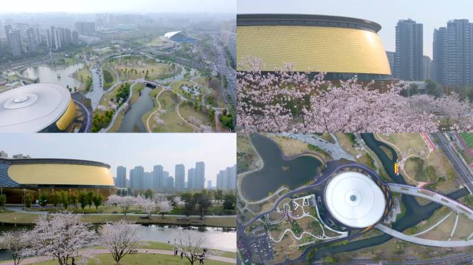 杭州 运河体育公园 樱花