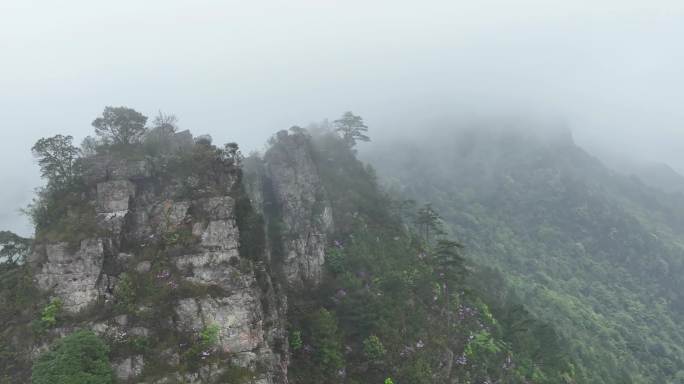 广西金秀圣堂山丹霞险峰雾海景观4K视频