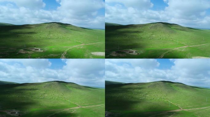 航拍草原动物羊内蒙古大红山动态绿水蓝天