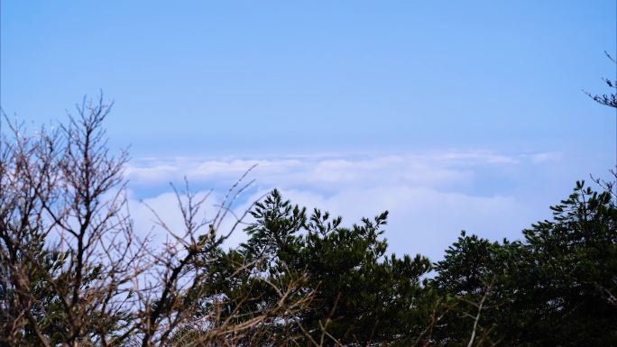 黄山风景区云海延时美景唯美大自然风景风光