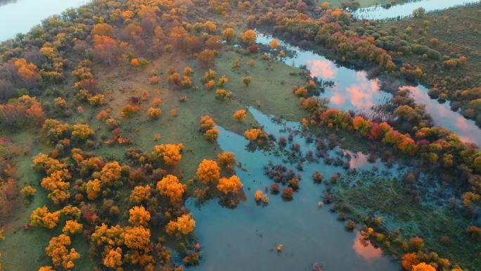 湿地秋天 河流 根河 清晨