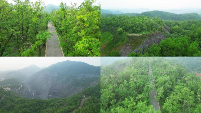 黄石国家矿山公园槐花节黄石槐花节