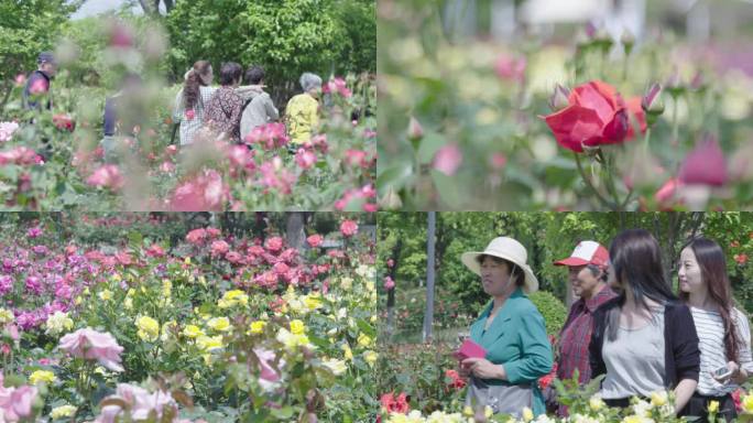 4k-花园游玩公园湿地公园散步美好生活