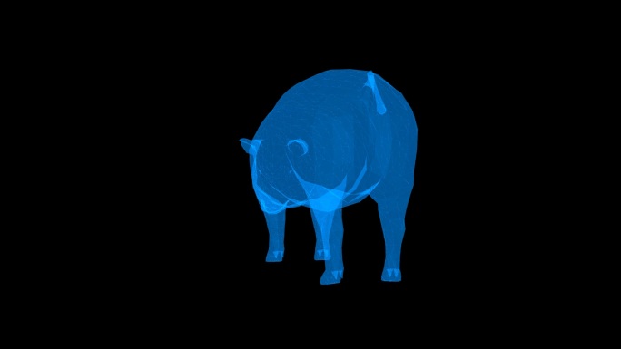蓝色全息科技猪动画素材带通道