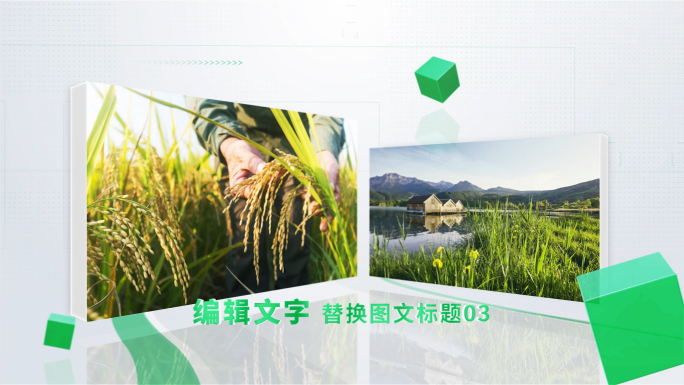 清新绿色立体图文介绍农业生态两张照片展示