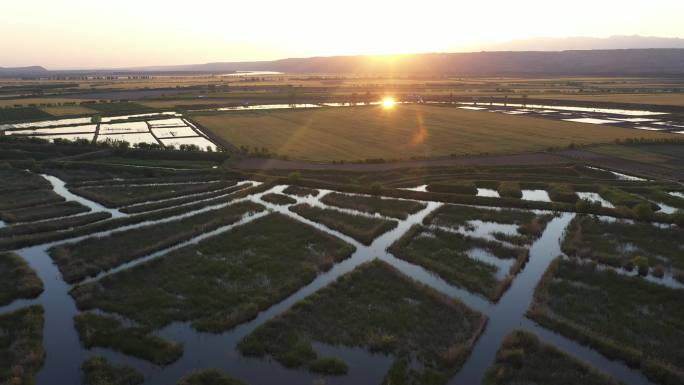 湿地夕阳养殖航拍