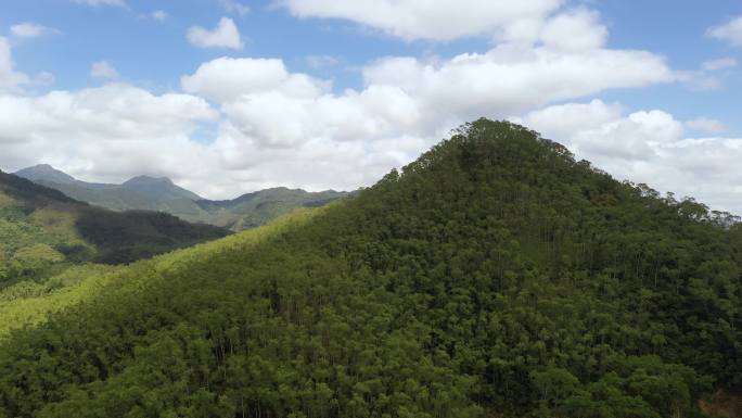 海南山川云海树林2